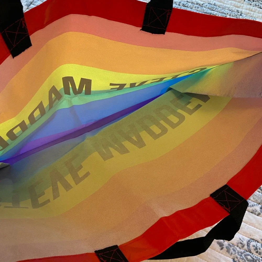 STEVE MADDEN 🌈 bag